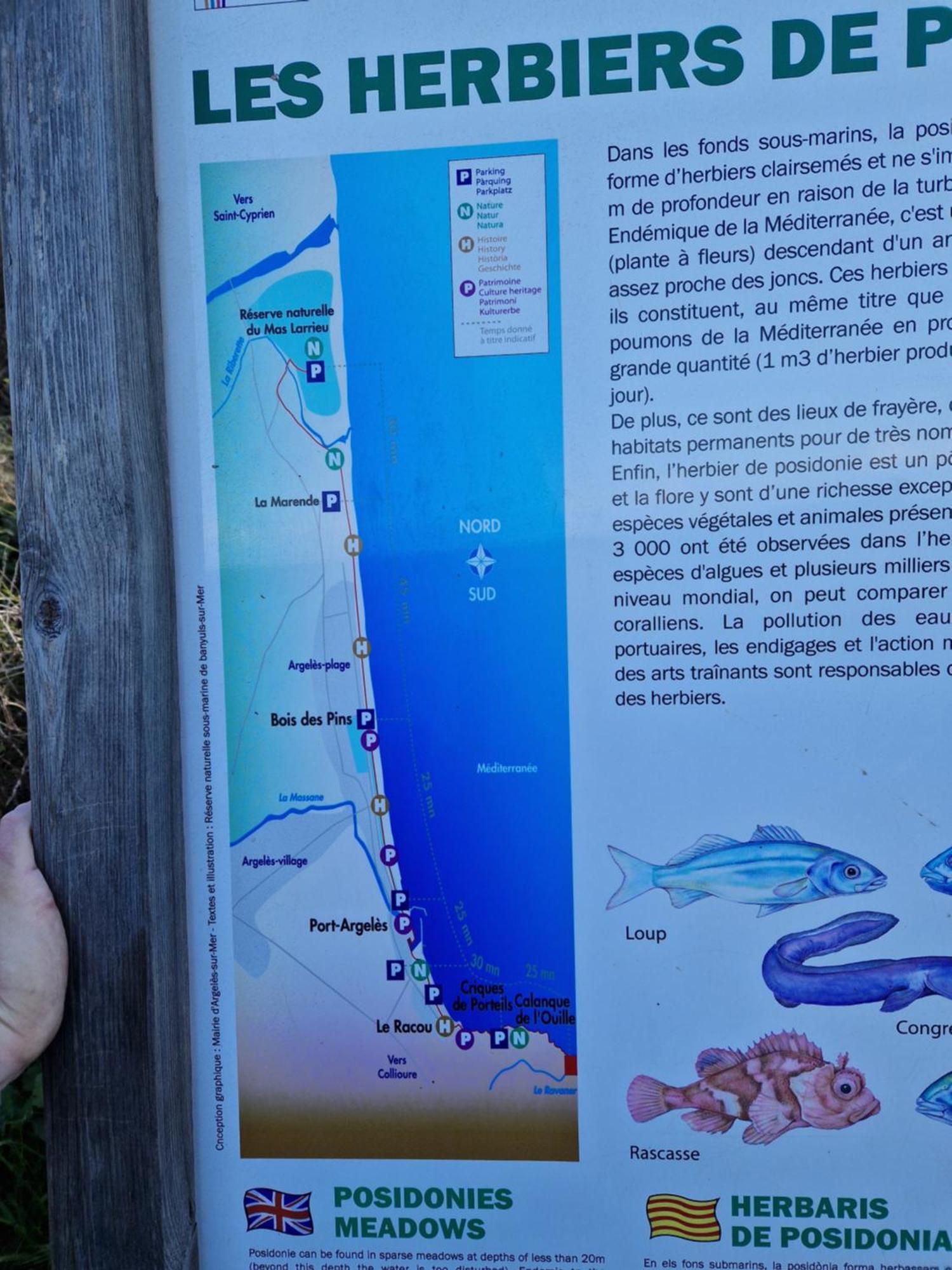 Hébergement de vacances Maison Climatise 1 A 4 Pers 1 Et 1 Mezzanine *